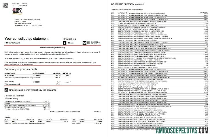 Declaração IBC BAk dos EUA, 5 páginas